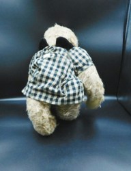 theodora bear bk